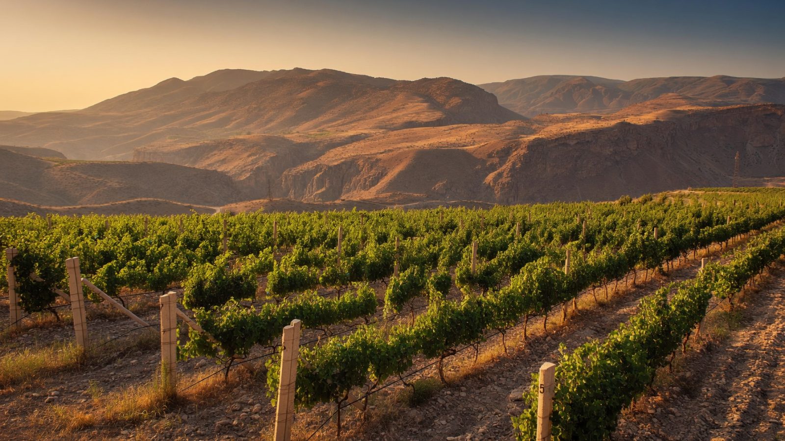 Areni winery — Adel Tour, Armenia