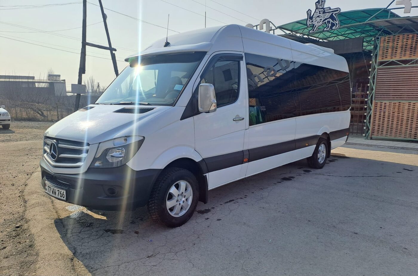 White Mercedes-Benz Sprinter passenger van operated by Adel Tour